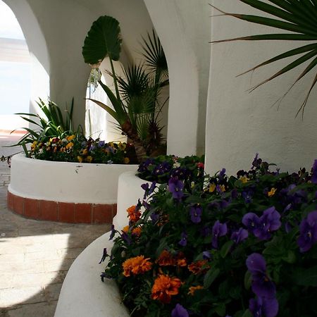 Casa Vacanze Elianto Anzio Eksteriør billede