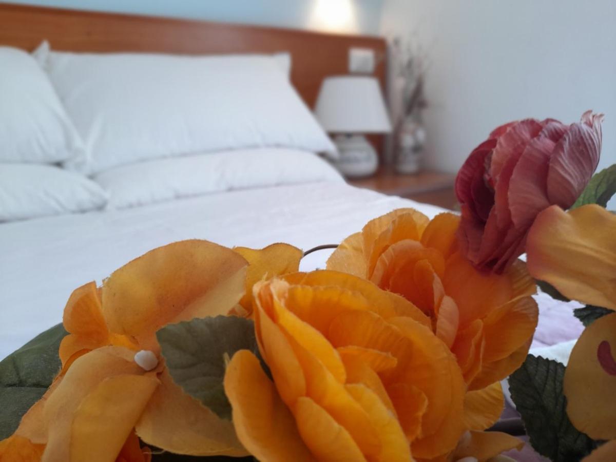 Casa Vacanze Elianto Anzio Eksteriør billede