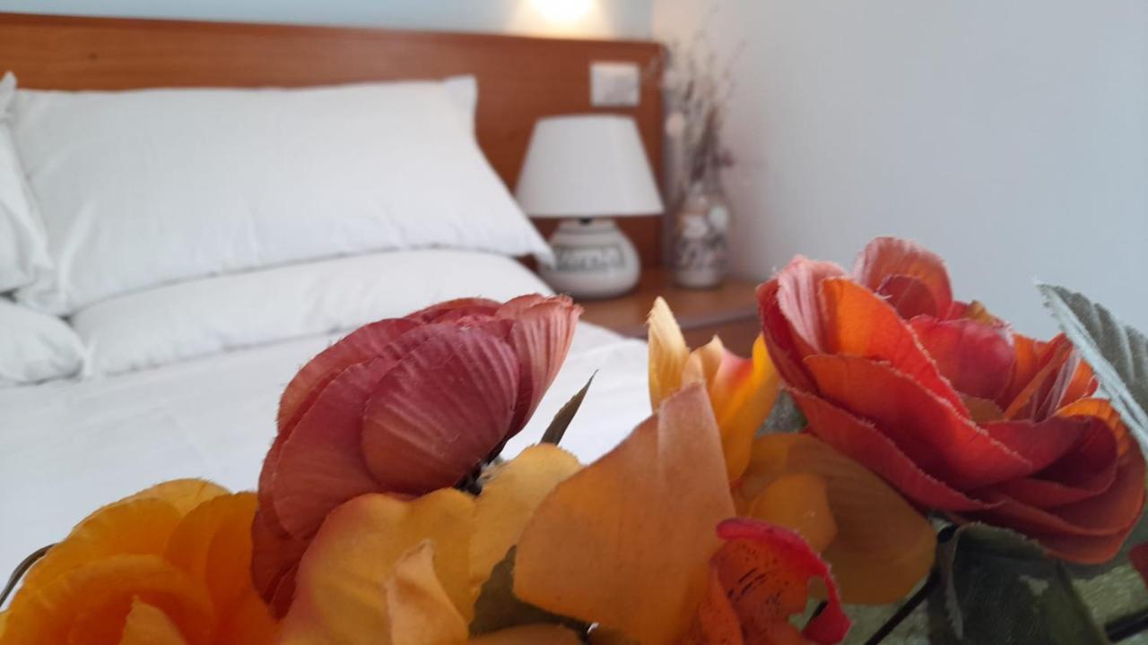 Casa Vacanze Elianto Anzio Eksteriør billede
